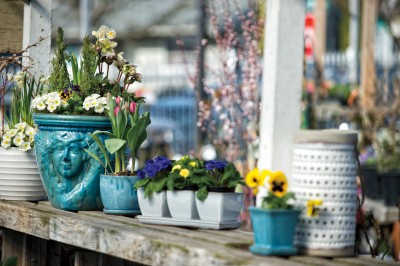 Spring Arrives: Container Gardens for Inspiration