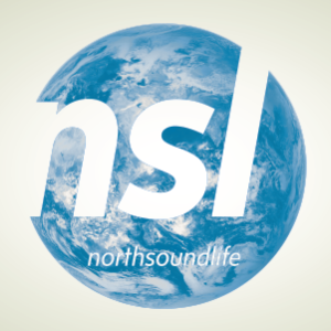 NSL_logo_earth_2016_Small
