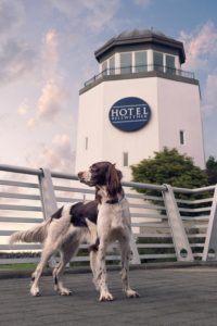 Bella_BellwetherLighthouse