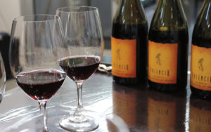 Tri-Cities and Prosser Areas: A Haven for Washington Wine Lovers