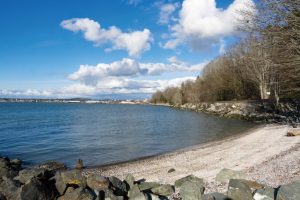 The Many Roles of the North Sound Baykeeper