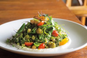 Skagit Valley Chopped Salad