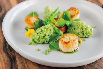 Seared Sea Scallops with Snap Pea Risotto and Infused Olive Oil: Chef Eduardo Diego of Infusion Cuisine