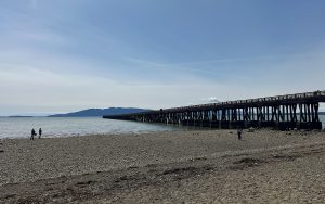 Little Squalicum Pier Open to the Public