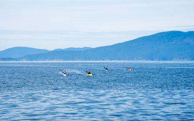 The Boat Behind the Barnacle | Barnacles Surf Ski Group