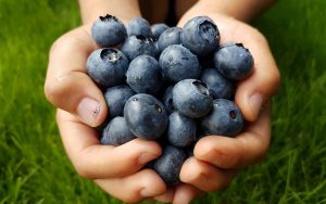 Farm, Garden, U-Pick Guide | 2025