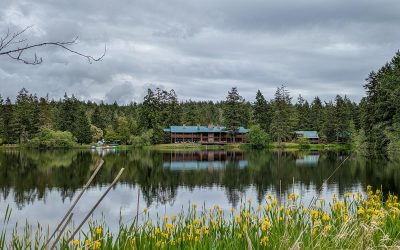 Sleeping in the Woods—On Your Terms | Lakedale Resort